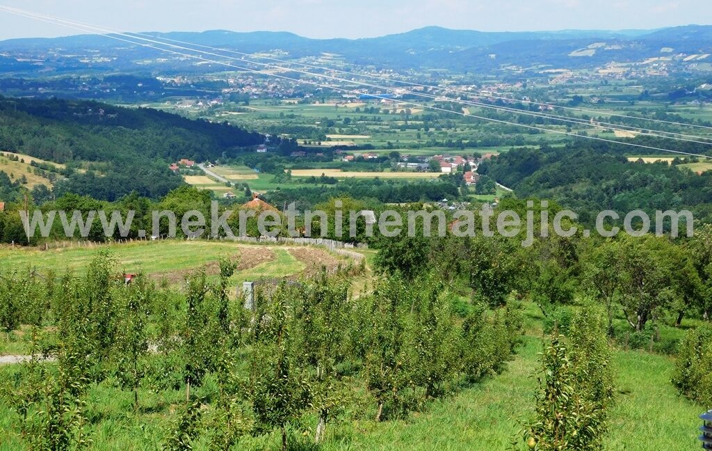 DSCN0364