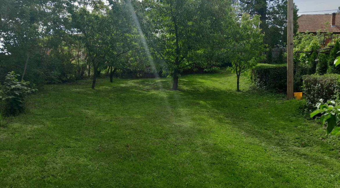 20250527_121406