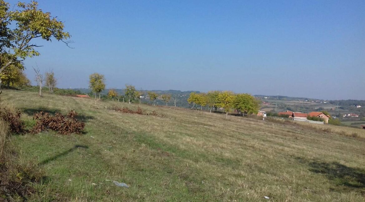 IMG-0881950719b2a029c81951e193275c0f-V