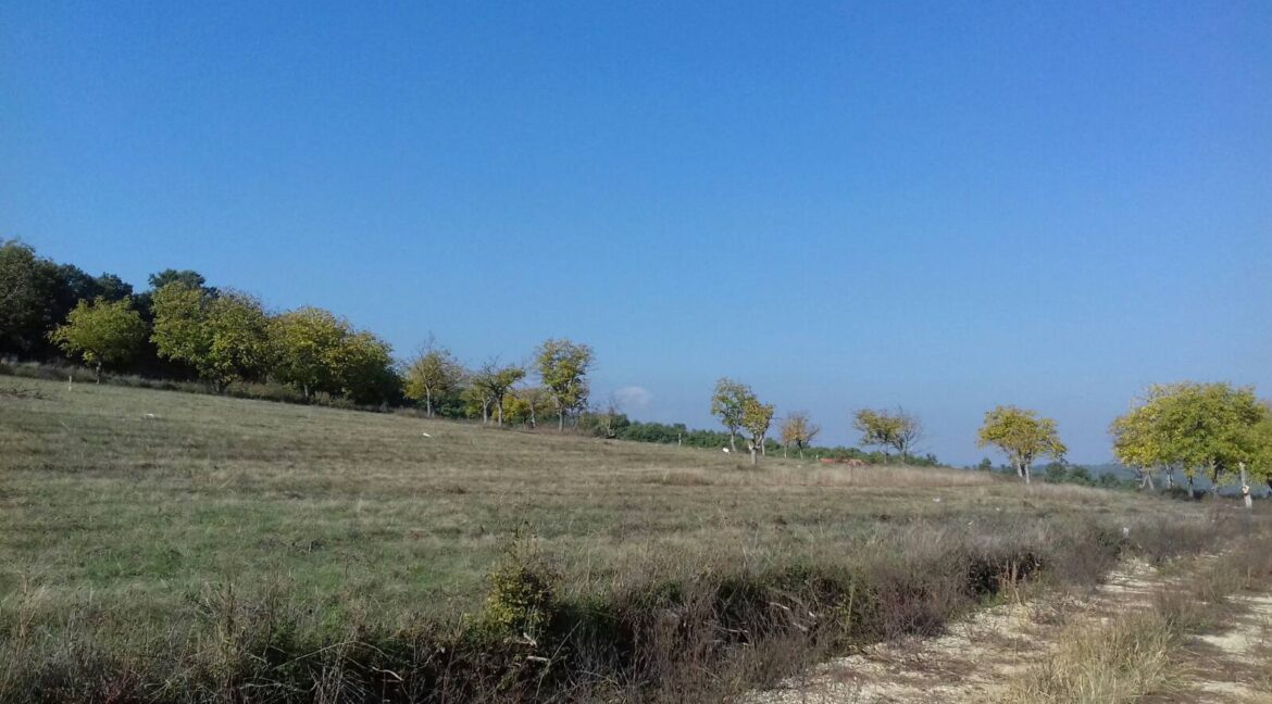 IMG-28372905327bf1b6f9bcfafcad4c3ec2-V