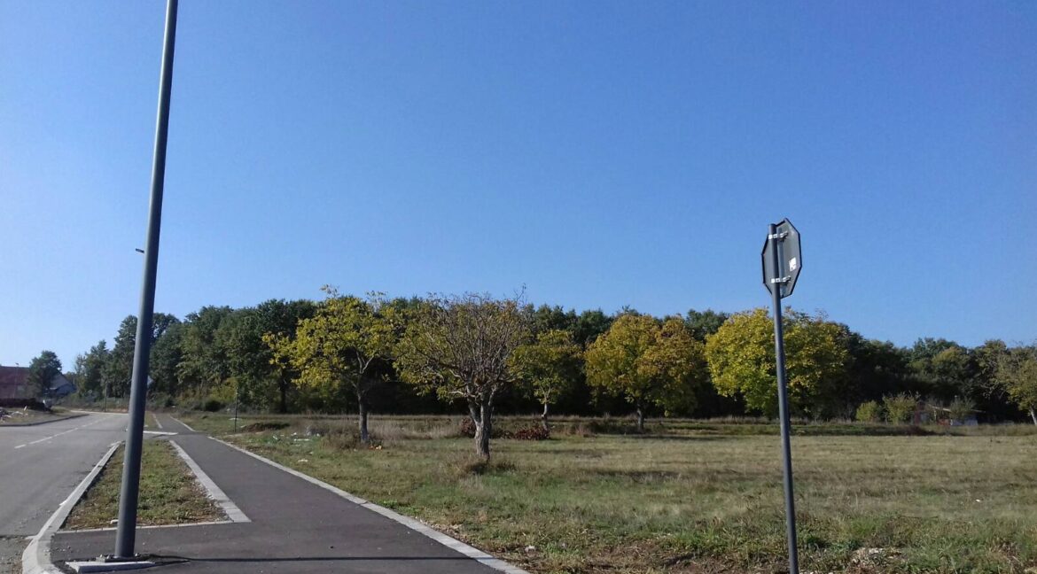 IMG-315e51e959fe3b69f21f6bf7dd2f1711-V