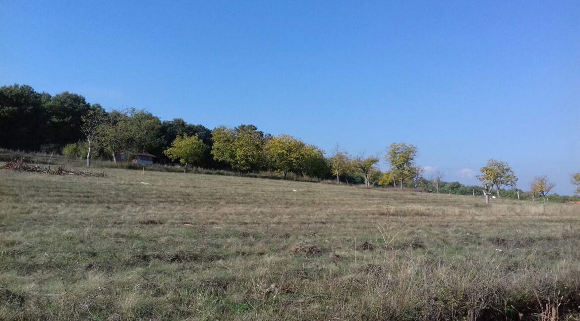 IMG-52085dfd97c45d34dba09a4630afd447-V