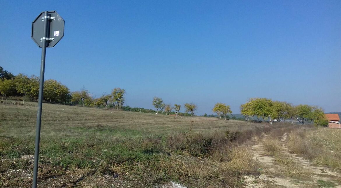 IMG-a7529e617ad7bc744d8be0dccbc13e89-V