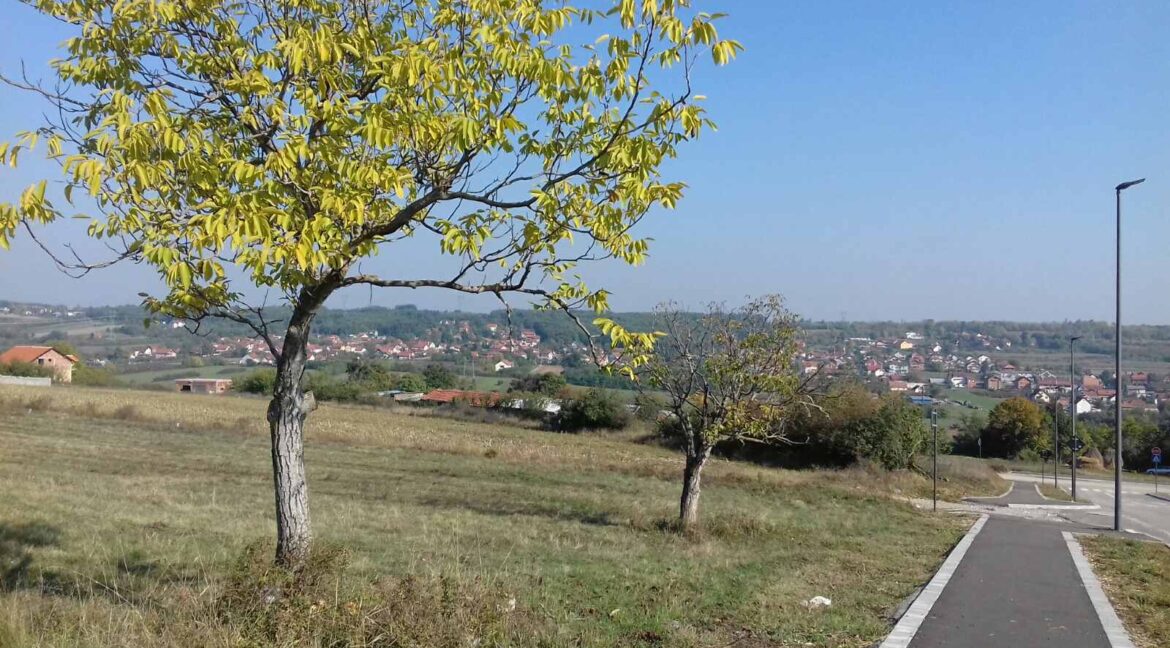 IMG-bbe5aaa76f4140aa6bc521de493d93b5-V