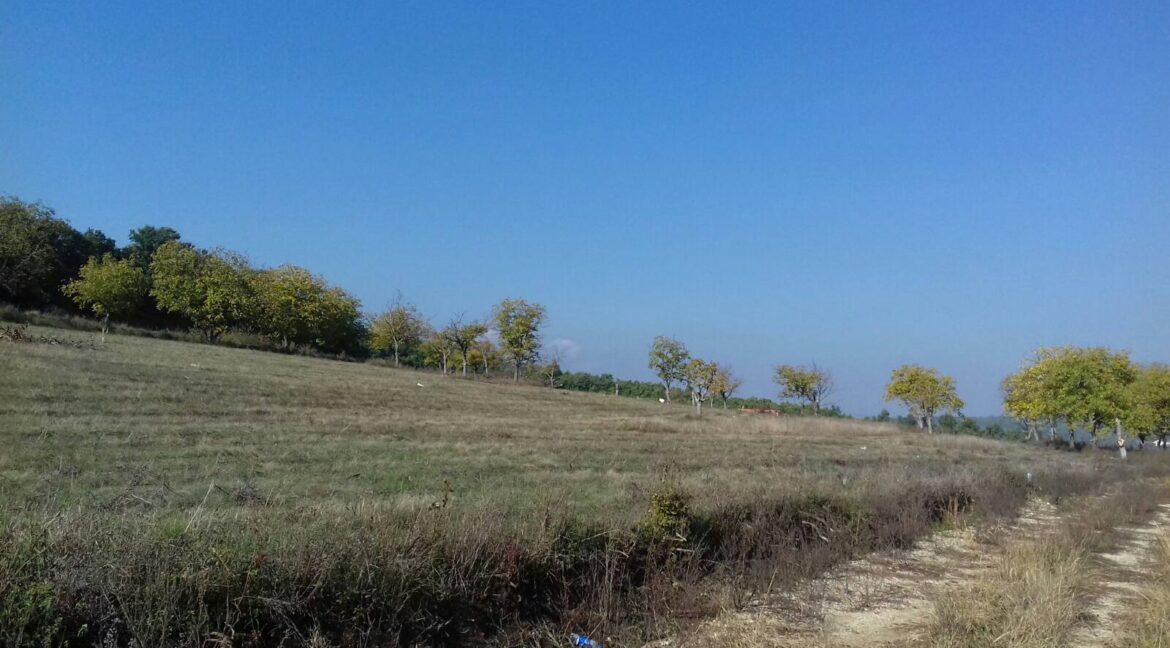 IMG-c8d5ccd0620d4ea3e727ef518d4a8e13-V