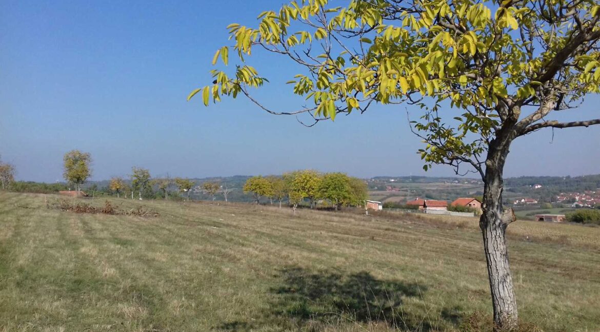 IMG-c9f63cc6a9ad9b18dccf1e08c13acad2-V