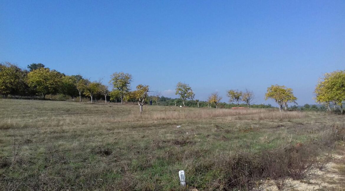 IMG-d2210143c69ce93b31908dde6ce205be-V