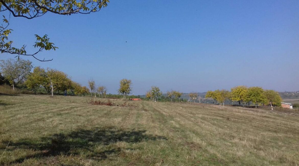 IMG-dc70c9ff4ce66cbbe002188e1b7f0e3e-V