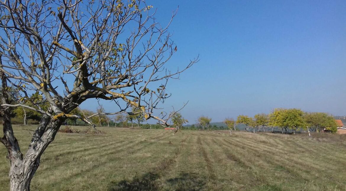 IMG-e0c24e09821a6508ef34387f9b809f59-V