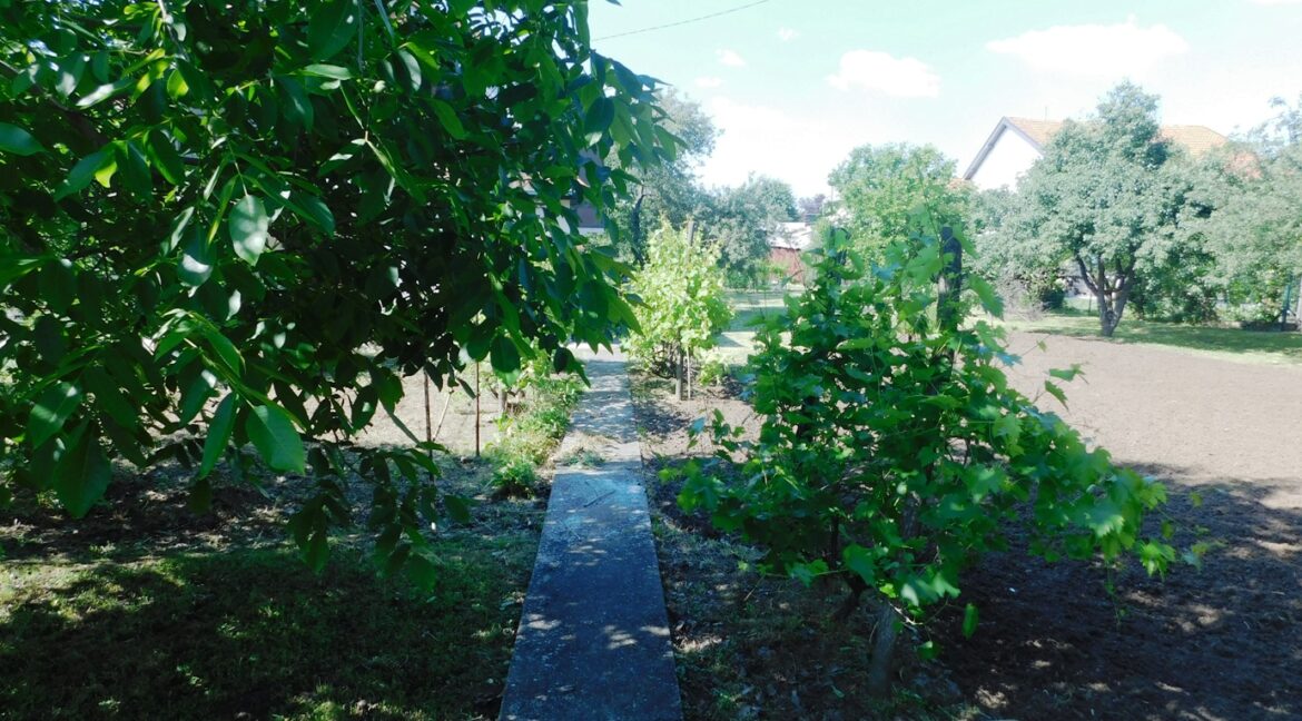 DSCN0549