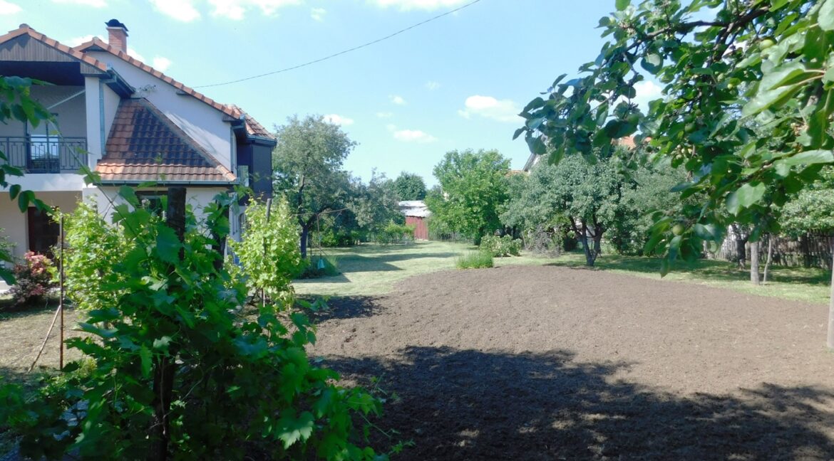 DSCN0550